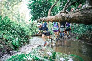 BIB: 
                            <button type="button" onclick="openModal(25476852)" class="btn btn-primary btn-sm float-right btn-popup" data-toggle="modal" data-target=".modal-high-quality">
                        <i class="fas fa-shopping-cart"></i> Add to Cart
                    </button>
                                            <button type="button" onclick="isThisMe(25476852, true)" class="btn btn-success btn-sm float-right btn-popup btn-isme hidden" data-toggle="tooltip" data-placement="bottom" title="นี่คือรูปของคุณใช่ไหม คลิกที่นี่เพื่อเอาเข้าอัลบั้ม">
                        <i class="fas fa-plus"></i> Add to album
                    </button>
                    <button type="button" onclick="isThisMe(25476852, false)" class="btn btn-warning btn-sm float-right btn-popup btn-isnotme hidden">
                        <i class="fas fa-ban"></i> Remove from album
                    </button>